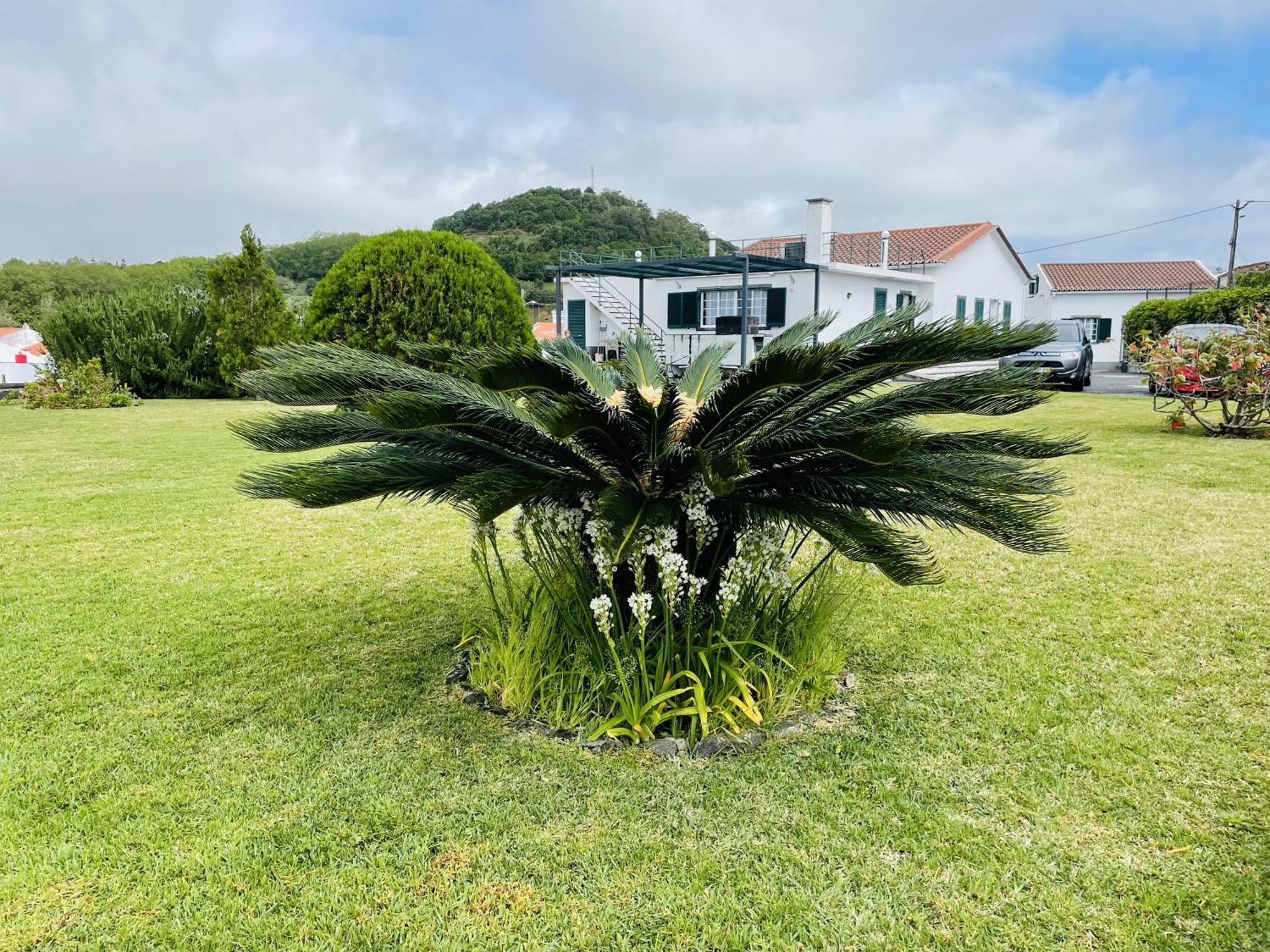 Casa Da Faja Villa Ponta Delgada  Exterior photo